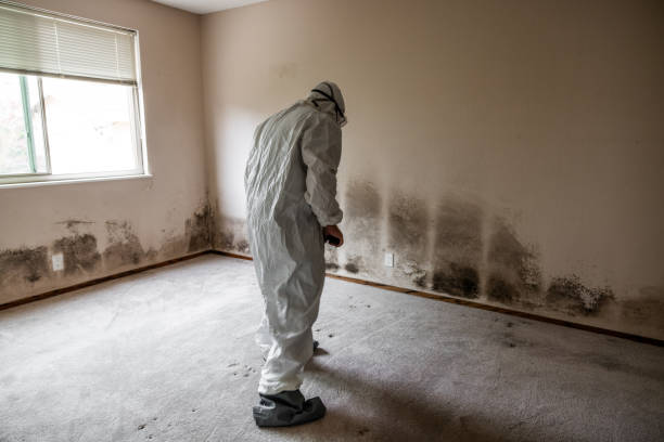 Best Water Damage & Mold Remediation  in Yosemite Lakes, CA